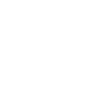 undp